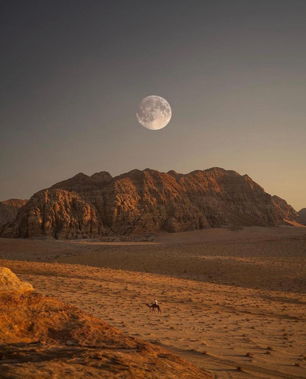Wadirum Sunset Camp Hotell Wadi Rum Exteriör bild