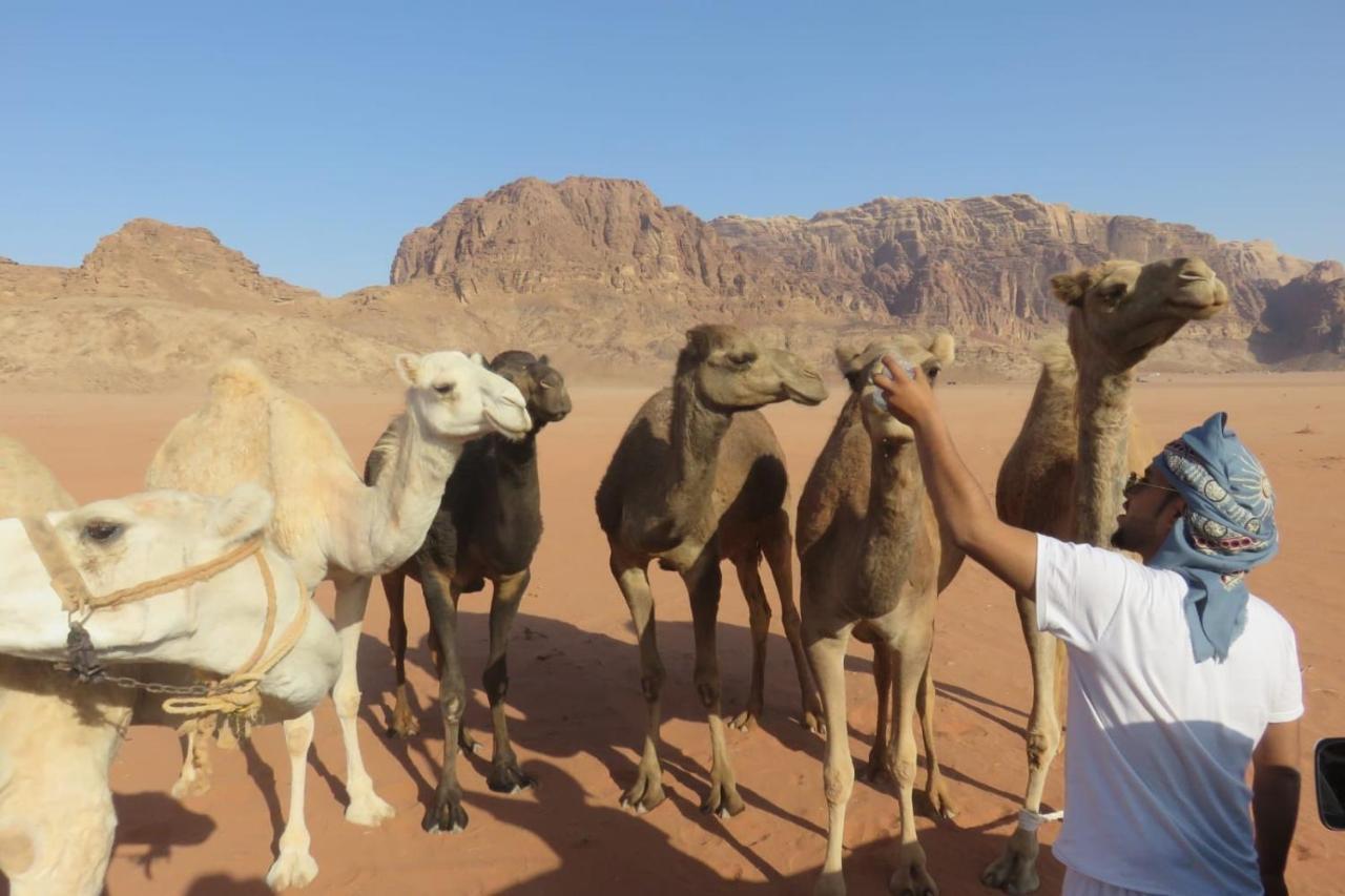 Wadirum Sunset Camp Hotell Wadi Rum Exteriör bild